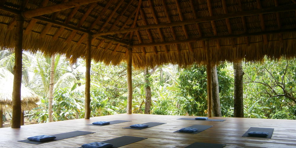 Jungle open-aired yoga pavilion